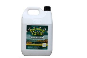 Marrawah Gold 5 Litre
