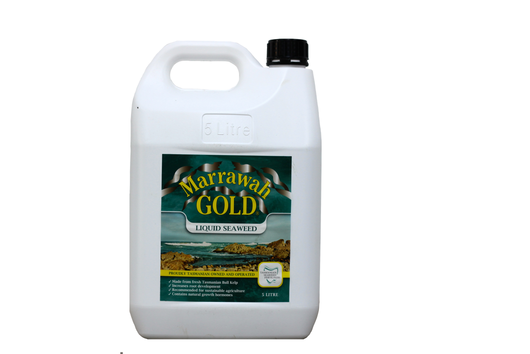 Marrawah Gold 5 Litre